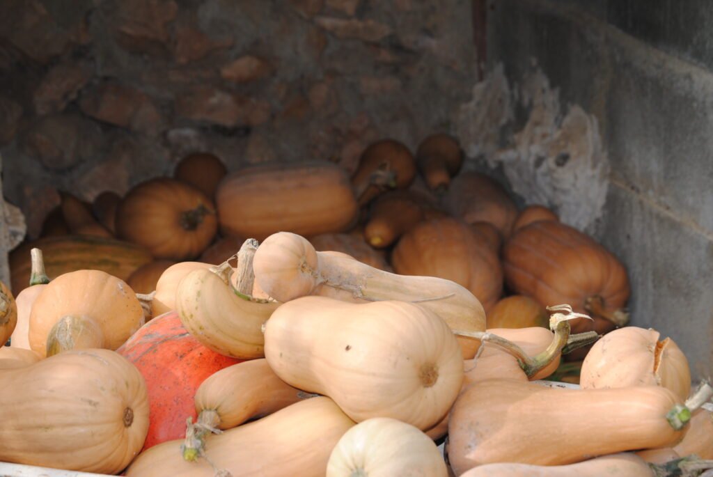 Agricultura prevé aumentar hasta el 15 la compra pública de productos