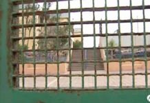 Una mujer entra a un colegio y agrede a varios niños en Las Palmas