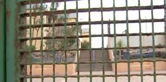 Una mujer entra a un colegio y agrede a varios niños en Las Palmas