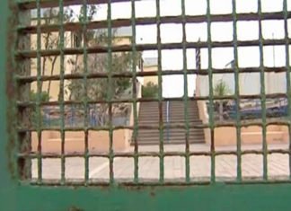 Una mujer entra a un colegio y agrede a varios niños en Las Palmas