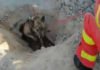 (VÍDEO) Rescatan a un perro que quedó atrapado en una acequia de Valencia