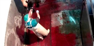 Denunciado un matadero de Ávila que cortaba patas a vacas aún con vida