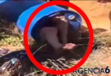 Momento de la detención de la parricida de Godella, Semidesnuda y dentro de un bidón (VÍDEO)