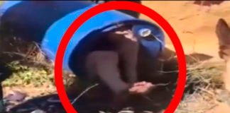 Momento de la detención de la parricida de Godella, Semidesnuda y dentro de un bidón (VÍDEO)