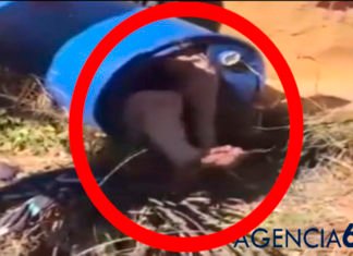 Momento de la detención de la parricida de Godella, Semidesnuda y dentro de un bidón (VÍDEO)