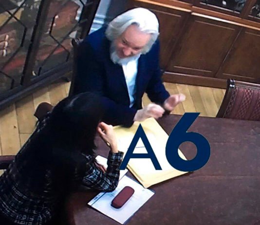EL CASO DE VIOLACIÓN DE JULIAN ASSANGE PODRA SER REABIERTO HASTA 2020