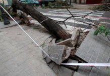 Más de 200 litros por metro cuadrado en Xàbia