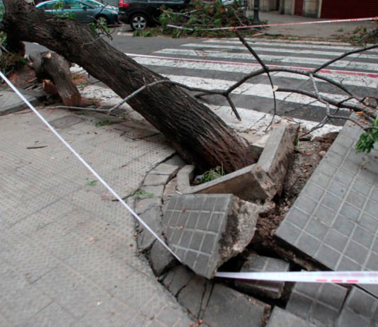 Más de 200 litros por metro cuadrado en Xàbia