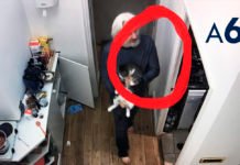 Julian Assange jugando con su gato