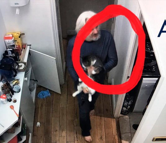 Julian Assange jugando con su gato