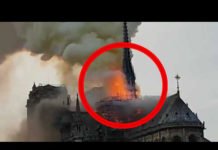 Espectacular incendio en la catedral de Notre Dame de París (VÍDEO)