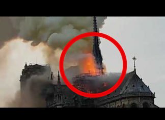 Espectacular incendio en la catedral de Notre Dame de París (VÍDEO)