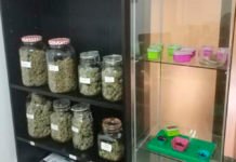 Detenidos en Alicante los responsables de una asociación que usaban envases de comida de gato para vender droga