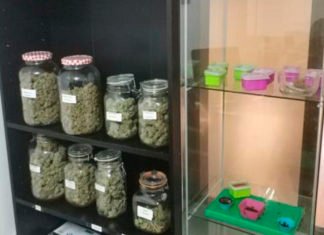 Detenidos en Alicante los responsables de una asociación que usaban envases de comida de gato para vender droga