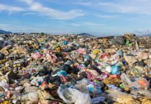 Una España podrida en su raíz por la corrupción