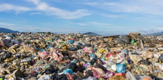 Una España podrida en su raíz por la corrupción