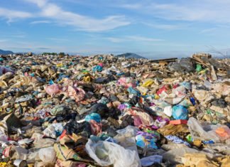 Una España podrida en su raíz por la corrupción