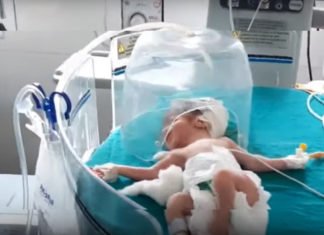 Perros callejeros evitan que un bebé sea devorado por ratas tras ser abandonado por su madre