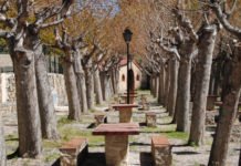 La Diputación de Alicante pone en marcha una nueva edición de los Campos de Voluntariado Ambiental