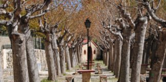 La Diputación de Alicante pone en marcha una nueva edición de los Campos de Voluntariado Ambiental