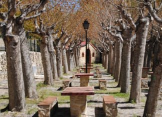 La Diputación de Alicante pone en marcha una nueva edición de los Campos de Voluntariado Ambiental