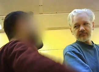 Julian Assange en la prisión de alta seguridad de Belmarsh, en el sudeste de Londres «La Guantánamo de Reino Unido»