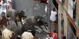 San Fermín 2019: Tres heridos por asta de toro en un rápido y peligroso último encierro