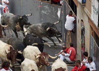 San Fermín 2019: Tres heridos por asta de toro en un rápido y peligroso último encierro