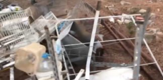 La ‘granja de los horrores’ Encuentran decenas de animales muertos y algunos desnutridos