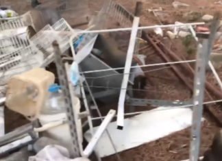 La ‘granja de los horrores’ Encuentran decenas de animales muertos y algunos desnutridos