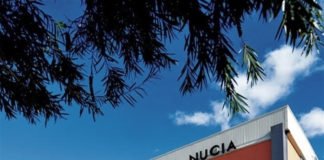 Uno de los mejores campus de baloncesto de España se celebra estos días en La Nucía