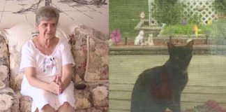 Una anciana de 80 años irá once días a prisión en Estados Unidos por alimentar a gatos callejeros