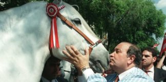 «Imperioso» cabalga de nuevo…..al menos en Benidorm