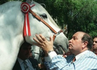 «Imperioso» cabalga de nuevo…..al menos en Benidorm