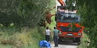 Un hombre muere corneado por un toro en su caserío de Guipúzcoa