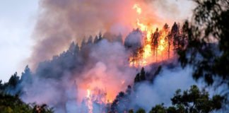Pedro Sánchez debe irse hoy mismo tras su comportamiento con los incendios de Canarias y el Open Arms