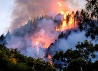 Pedro Sánchez debe irse hoy mismo tras su comportamiento con los incendios de Canarias y el Open Arms