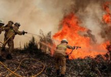 Voz a la conciencia: Tenemos que salvar la Amazonia, «es el pulmón del planeta» No podemos permitir un infierno en la selva