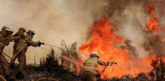 Voz a la conciencia: Tenemos que salvar la Amazonia, «es el pulmón del planeta» No podemos permitir un infierno en la selva