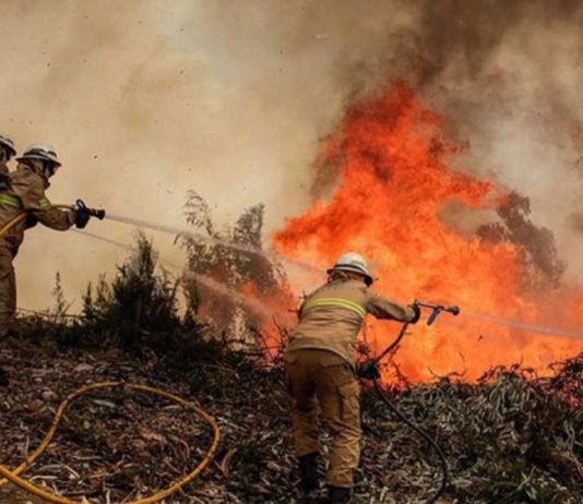 Voz a la conciencia: Tenemos que salvar la Amazonia, «es el pulmón del planeta» No podemos permitir un infierno en la selva