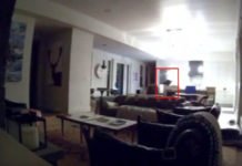 Oso irrumpe en casa californiana por tacos y helados. (Vídeo)