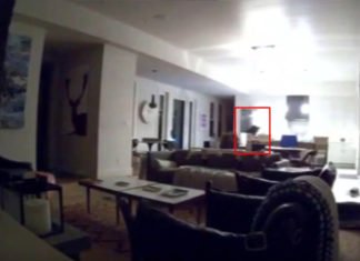 Oso irrumpe en casa californiana por tacos y helados. (Vídeo)