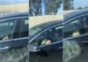 Captan dormido al conductor de un Tesla en California