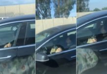 Captan dormido al conductor de un Tesla en California