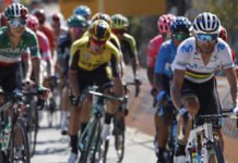 La Vuelta a España 2019 se ha visto envuelta en varios accidentes del equipo Jumbo Vista y del UAE Emirates en la primera contrarreloj