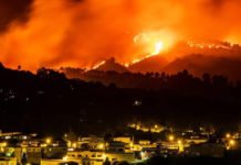 Gran Canaria al borde de una catástrofe ambiental irreparable