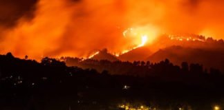 Gran Canaria al borde de una catástrofe ambiental irreparable