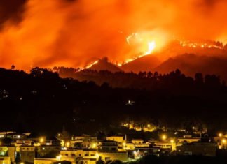 Gran Canaria al borde de una catástrofe ambiental irreparable