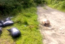 Dejan una docena de cuerpos descuartizados en zona en disputa entre el CJNG y Los Zetas