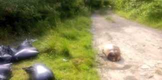 Dejan una docena de cuerpos descuartizados en zona en disputa entre el CJNG y Los Zetas